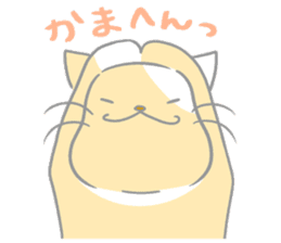 Kyoto-ben Cats sticker #3050349
