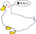 petit duck and mom with catty sticker #3051292