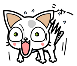 DirtyCat TOM sticker #3051581