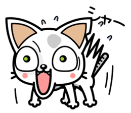 DirtyCat TOM sticker #3051581