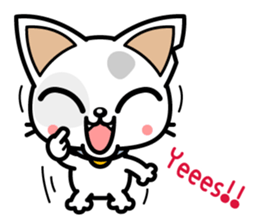 DirtyCat TOM sticker #3051587