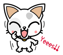 DirtyCat TOM sticker #3051587