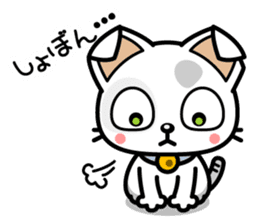 DirtyCat TOM sticker #3051598