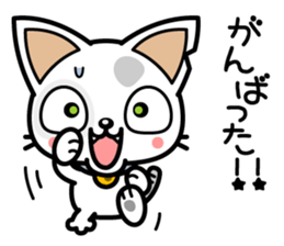 DirtyCat TOM sticker #3051606