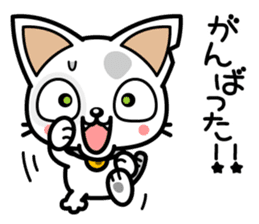 DirtyCat TOM sticker #3051606