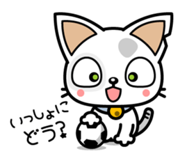 DirtyCat TOM sticker #3051607