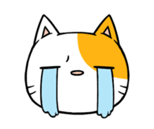 Nyangoo sticker #3052098