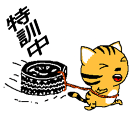 Life of two laughable cats(Darts) sticker #3052176