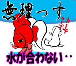 Silly talk of goldfish and carp sticker #3053906