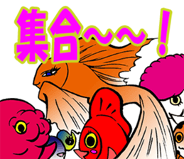 Silly talk of goldfish and carp sticker #3053930