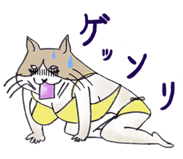 Eccentric Cat Sticker sticker #3054169