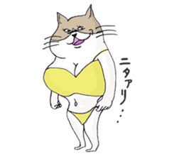 Eccentric Cat Sticker sticker #3054177