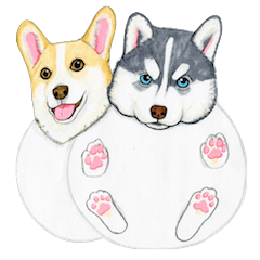 Winter break of dogs