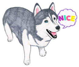 Winter break of dogs sticker #3057421