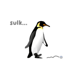 Penguins Life sticker #3059140