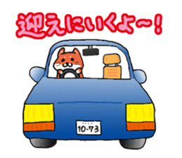 The dog care of your everyday sticker #3061388
