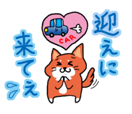 The dog care of your everyday sticker #3061389