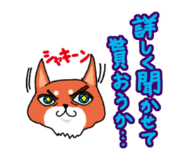 The dog care of your everyday sticker #3061391