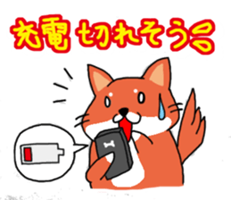 The dog care of your everyday sticker #3061392