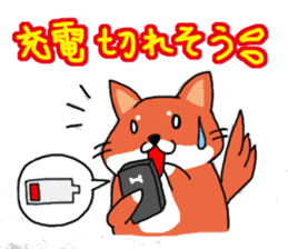 The dog care of your everyday sticker #3061392