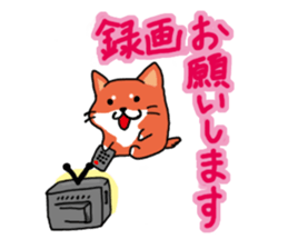 The dog care of your everyday sticker #3061400