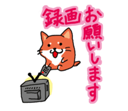 The dog care of your everyday sticker #3061400