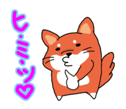 The dog care of your everyday sticker #3061401