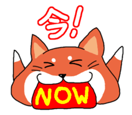 The dog care of your everyday sticker #3061412