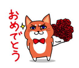The dog care of your everyday sticker #3061414