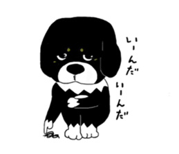 Kuro's daily life 2 sticker #3062678