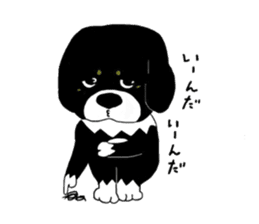 Kuro's daily life 2 sticker #3062678