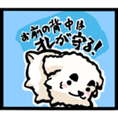 The words once you want to use sticker #3064333