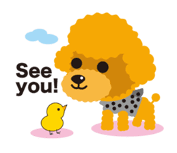 Nowadays of Toy poodle(English ver) sticker #3064442