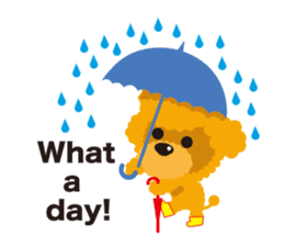 Nowadays of Toy poodle(English ver) sticker #3064457