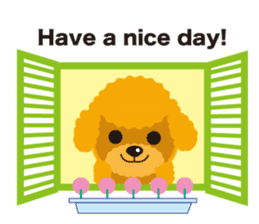 Nowadays of Toy poodle(English ver) sticker #3064458