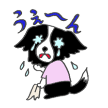 Border Collie dog sticker #3065454