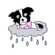 Border Collie dog sticker #3065456