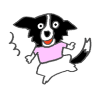 Border Collie dog sticker #3065458