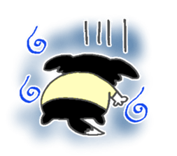 Border Collie dog sticker #3065460