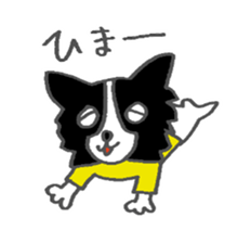 Border Collie dog sticker #3065468