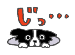 Border Collie dog sticker #3065474