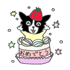 Border Collie dog sticker #3065475