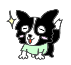 Border Collie dog sticker #3065480