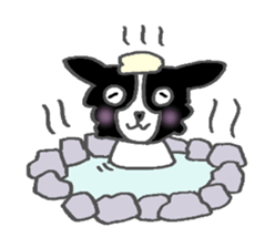 Border Collie dog sticker #3065481