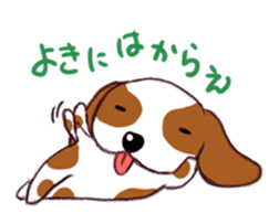Everyday of Beagle dog sticker #3068628