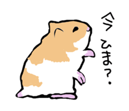 Syrian Golden Hamster sticker #3070139