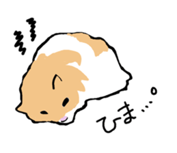 Syrian Golden Hamster sticker #3070140