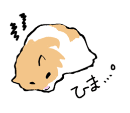 Syrian Golden Hamster sticker #3070140