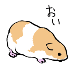 Syrian Golden Hamster sticker #3070146