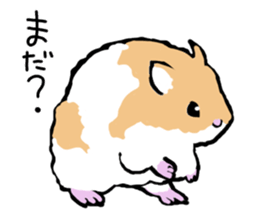 Syrian Golden Hamster sticker #3070147